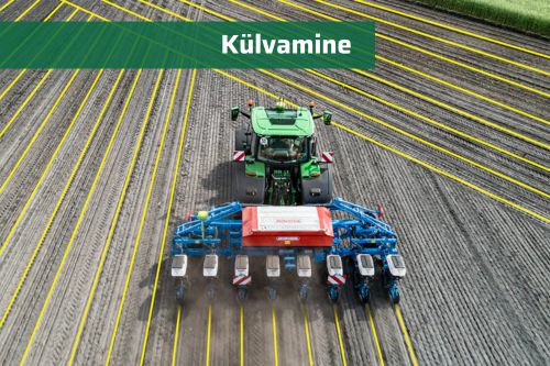 külvamine
