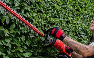 SABO aiatehnika lõpumüük