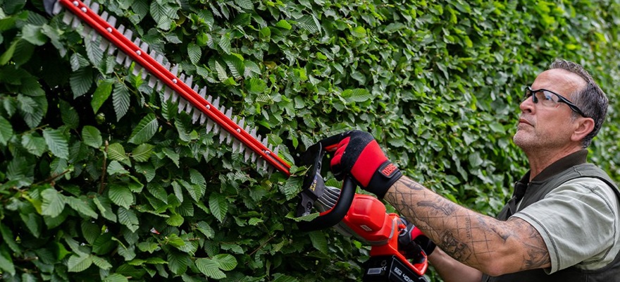 SABO aiatehnika lõpumüük